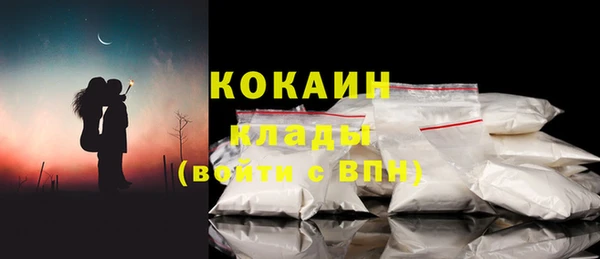гидра Арсеньев