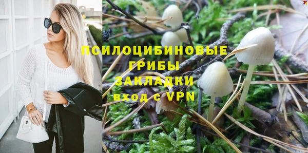бутират Алексин