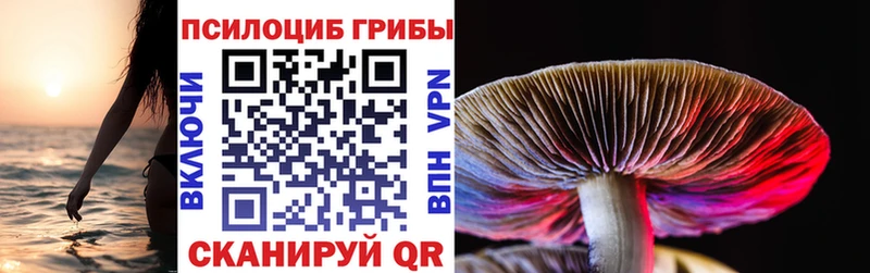 хочу наркоту  Аркадак  Галлюциногенные грибы Psilocybe 